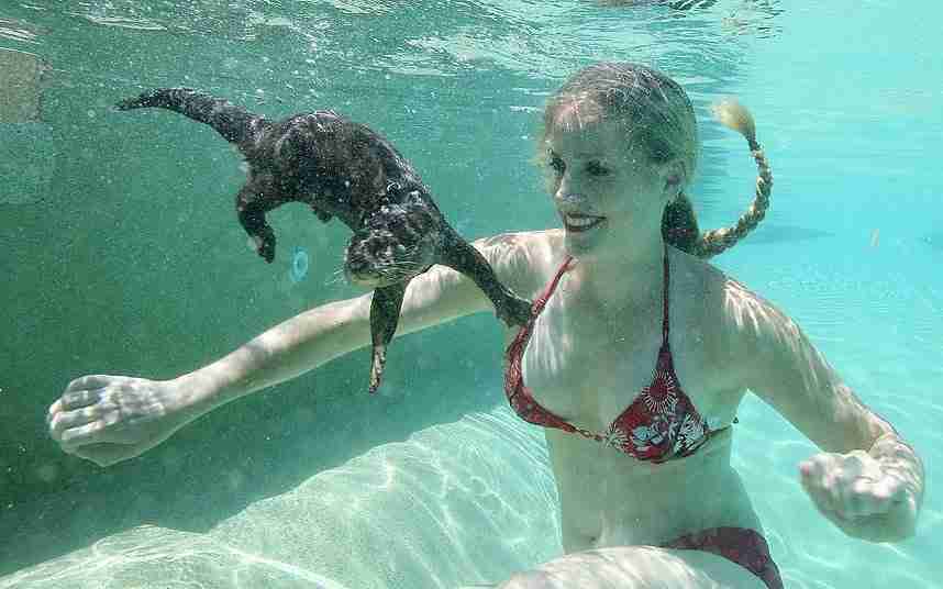 Moksha Bybee And Monkey
